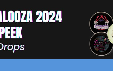Gyropalooza 2024 Sneak Peek + Reviews on Past Editions - Disc Golf Deals USA