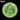 Mint Discs Sublime Rodeo