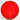 Axiom Neutron Tempo (Drop 2) - Disc Golf Deals USA