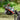 Bag Boy Quad XL - Disc Golf Cart - Disc Golf Deals USA