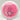 Innova Halo Hawkeye Hailey King Tour Series - Disc Golf Deals USA