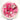 Innova R - Pro War Toro - Disc Golf Deals USA