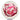 Innova SE Star Mako3 (Riptide Reef) - Disc Golf Deals USA