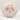 Lone Star Disc Alpha Harpoon - Disc Golf Deals USA