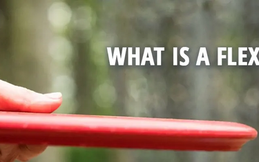 disc golf flex shot blog banner