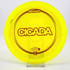 #17 174.1g | Yellow
