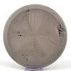 #23 172.1g | Gray