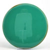 #61 172.2g (Classic Blank) | Green