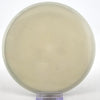 #31 177.6g | White