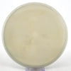 #43 177.6g | White