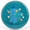 #170 174.9g | Blue