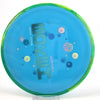 #240 167.6g | Blue