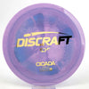 #5 170.4g | Purple