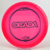 #42 175.4g | Pink