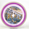 #27 169.4g | Purple