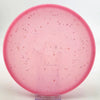 #23 173.7g | Pink