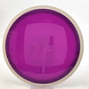 #66 172.9g (Blank) | Purple