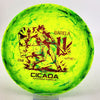 #5 157.5g | Yellow