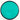 MVP Neutron Signal - Disc Golf Deals USA