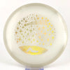 #32 181.2g | Glow