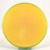 #85 170.6g (Blank)