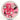 Innova SE Bottom Stamp Star Toro (War Pig) - Disc Golf Deals USA