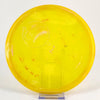 #3 176.1g | Yellow