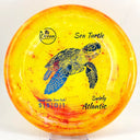 Ocean Discs Swirly Atlantic Sea Turtle - Disc Golf Deals USA